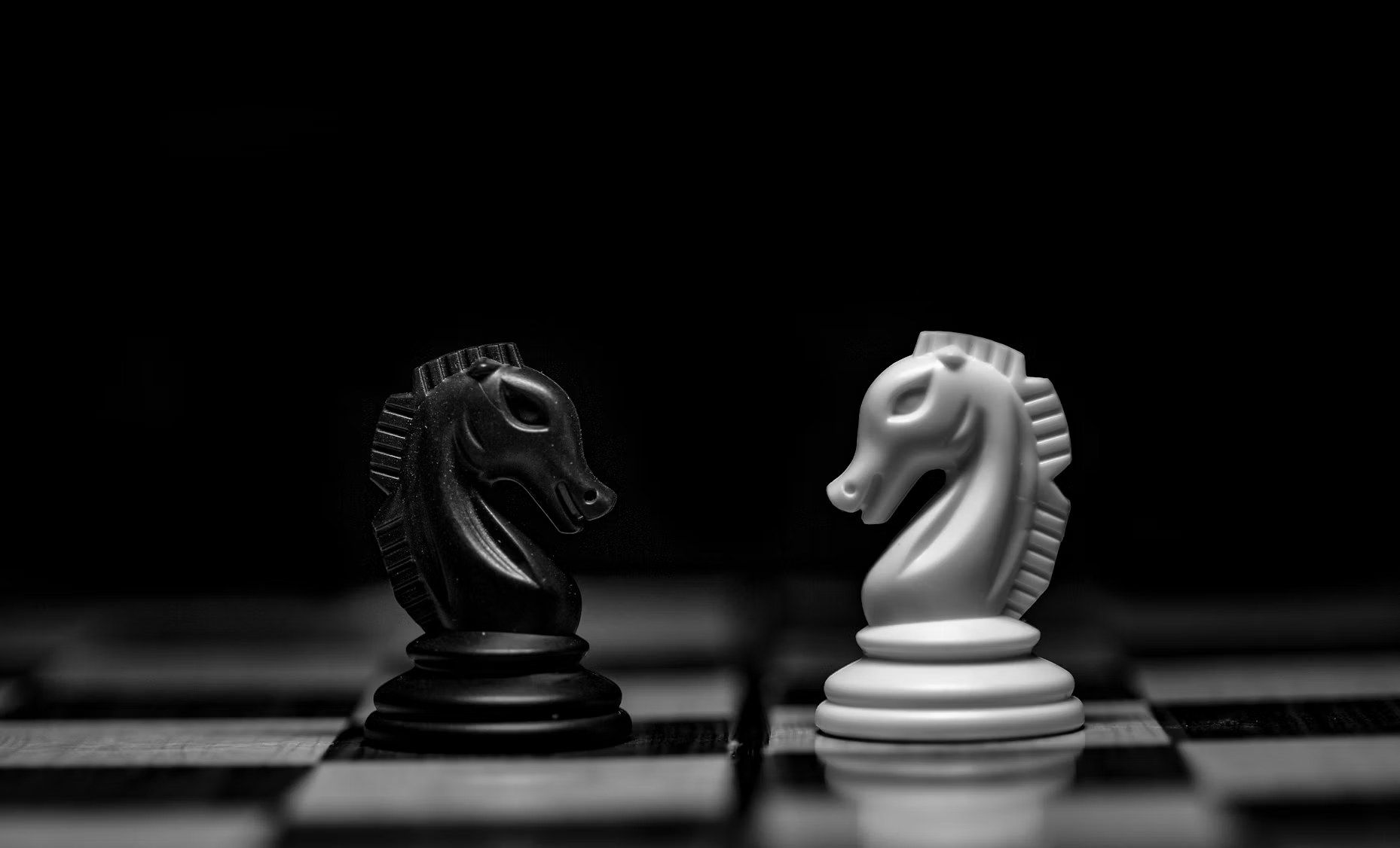 Two chess knights facing each other